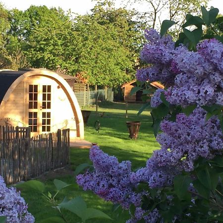 Bed and Breakfast Het Koningshofje NeerNeerpelt Zewnętrze zdjęcie